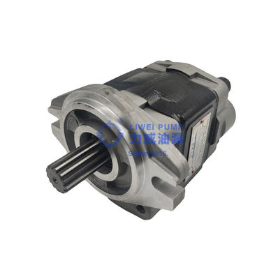 Dal 1956 pompa idraulica 91E71-10200 69101-FK281 delle parti del carrello elevatore di marca di Hewei